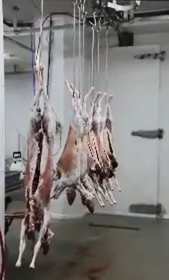 Rocky Hill Meats butcher shop