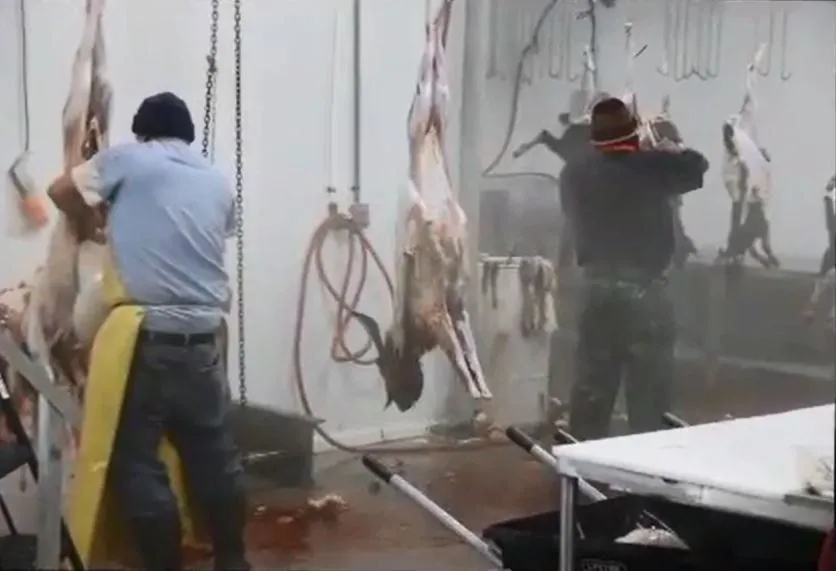Rocky Hill Meats butcher shop