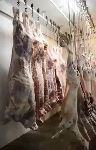 Rocky Hill Meats butcher shop