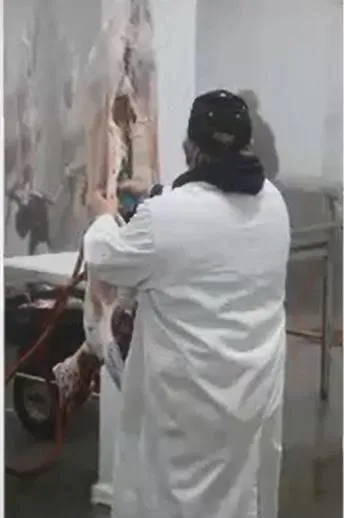 Slaughter House Near Me